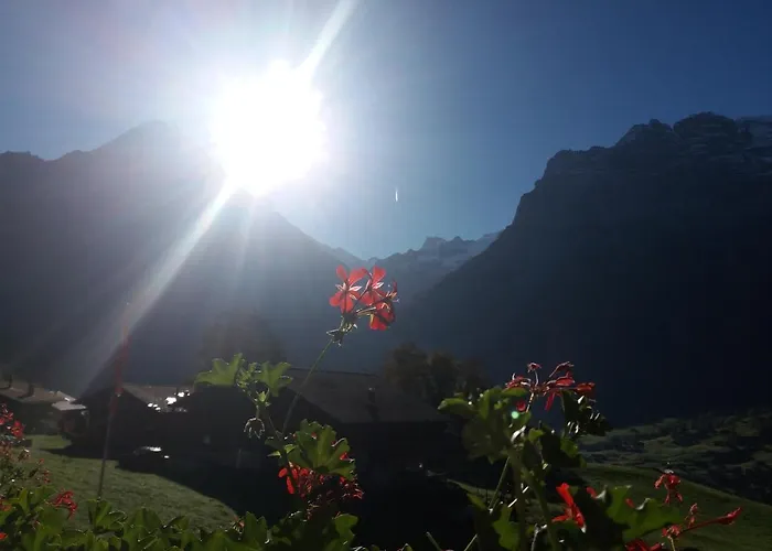 Uf Em Stutz 2 * Grindelwald